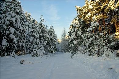 《古老城市》steam发售 生存策略城市建造模拟